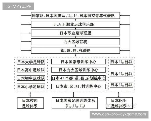 2026年足球青训绩效考核体系试点报告发布，足球青训梯队试训